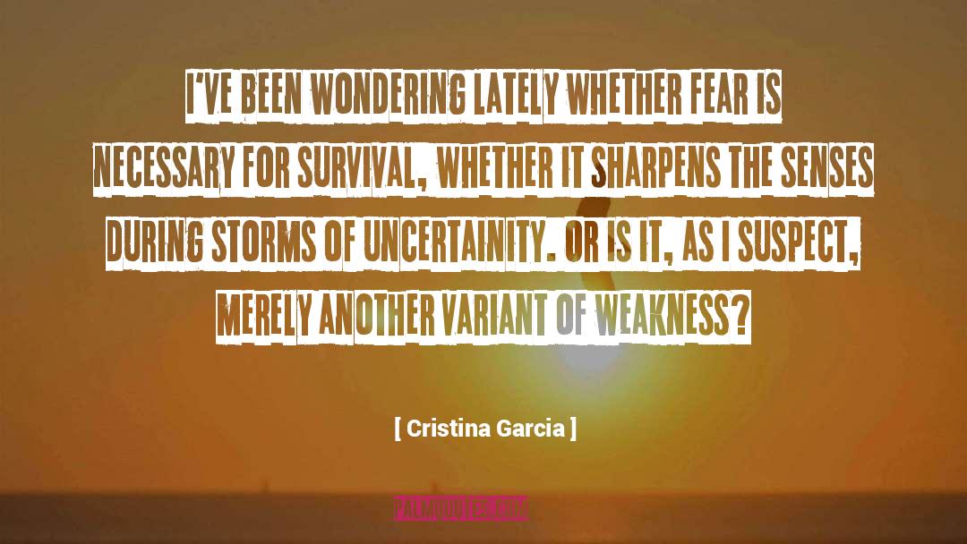 Uncertainity quotes by Cristina Garcia