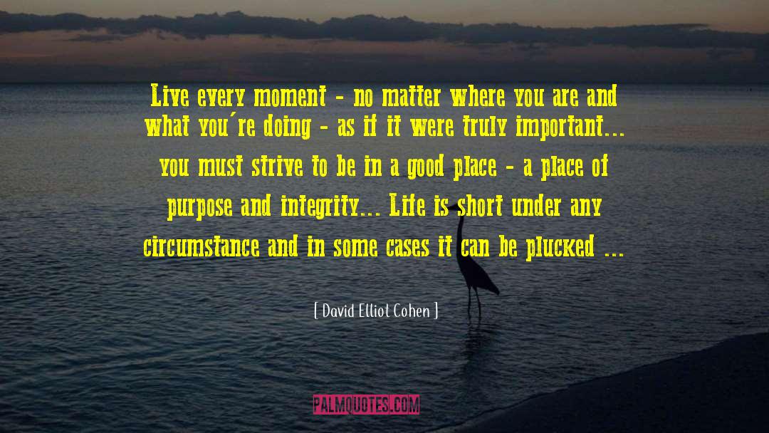 Uncertainties In Life quotes by David Elliot Cohen