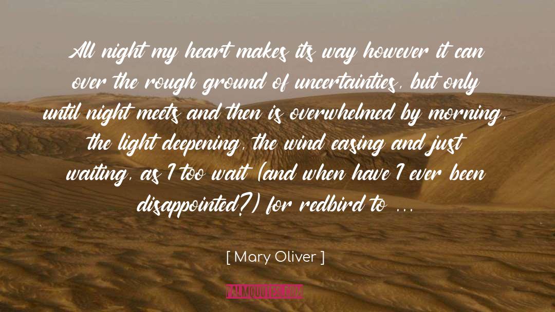Uncertainties quotes by Mary Oliver