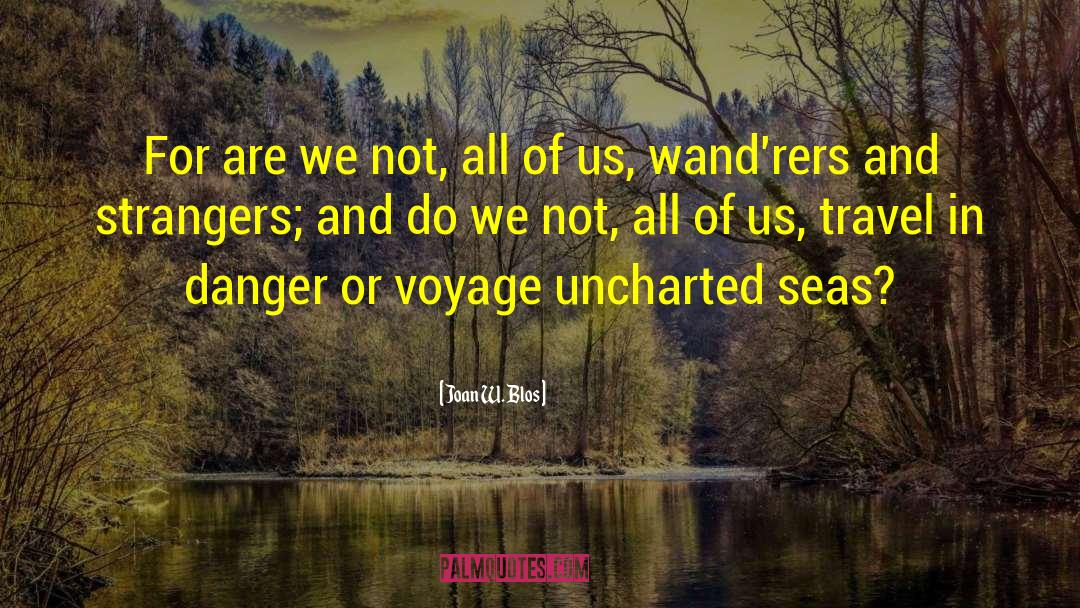 Uncharted Waters quotes by Joan W. Blos