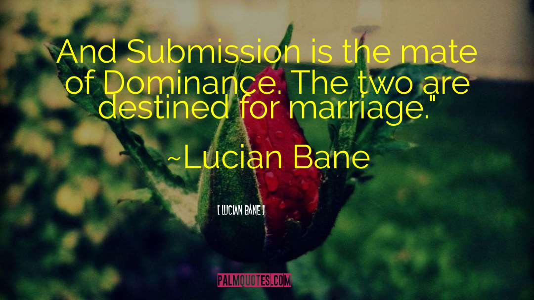 Unchastity Marriage quotes by Lucian Bane