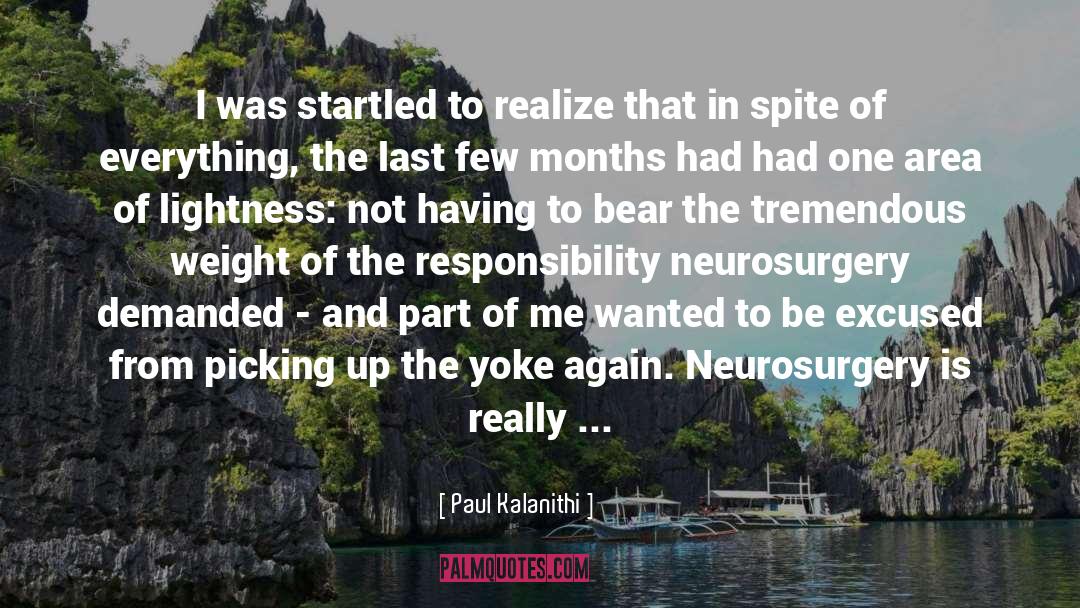 Unclickable Area quotes by Paul Kalanithi