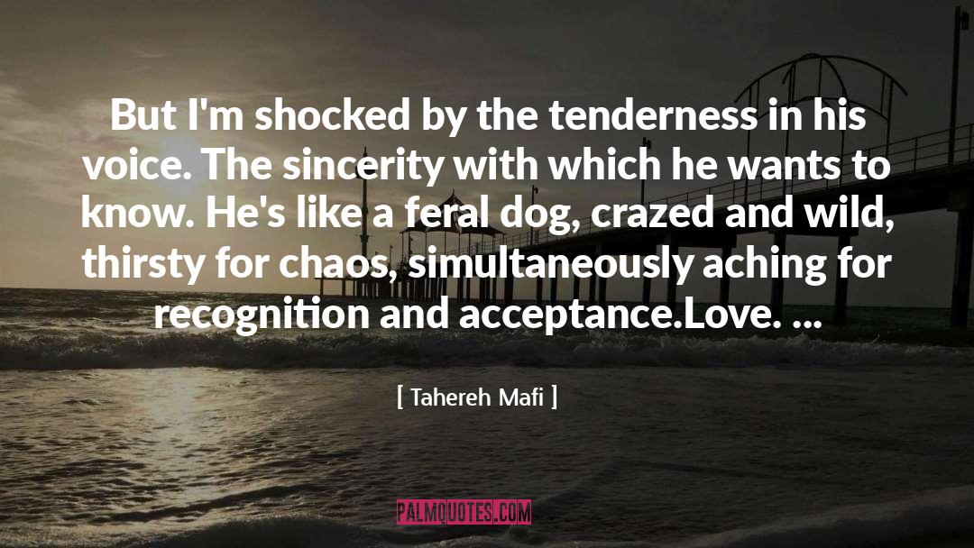 Unconditional Acceptance And Love quotes by Tahereh Mafi