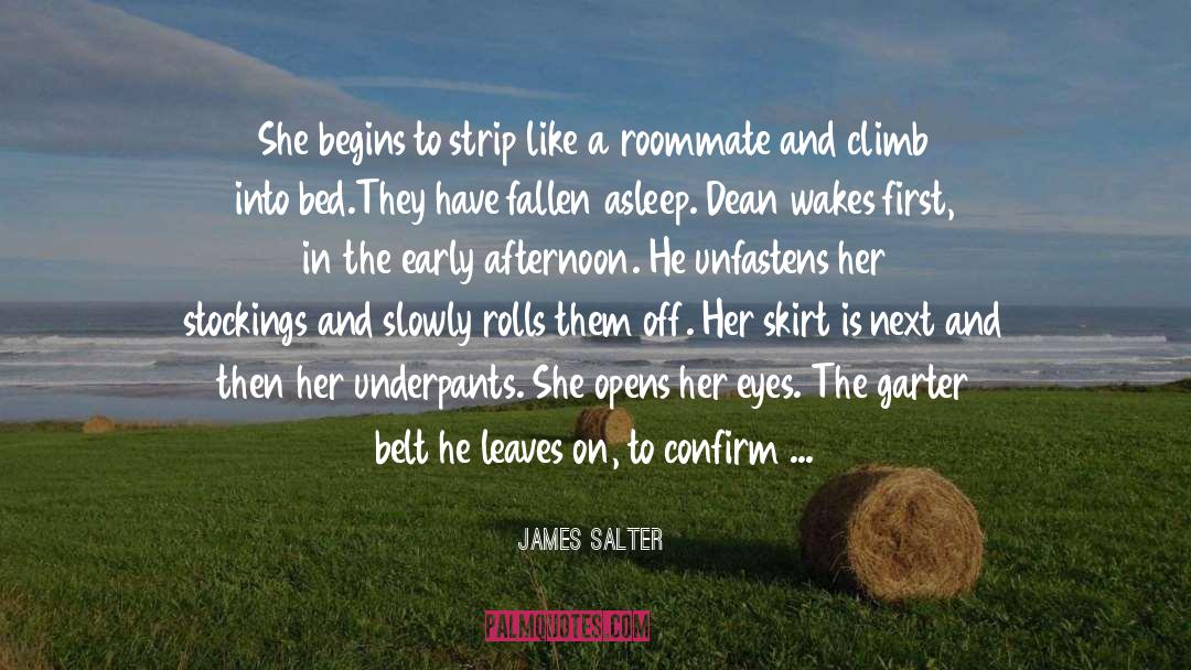Undah Skirt quotes by James Salter
