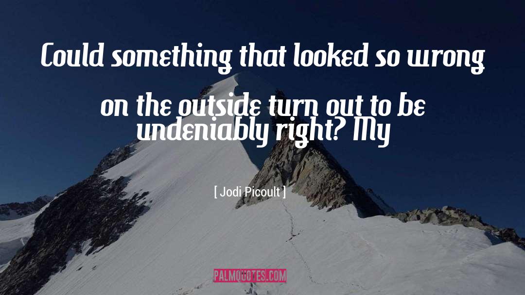 Undeniably quotes by Jodi Picoult
