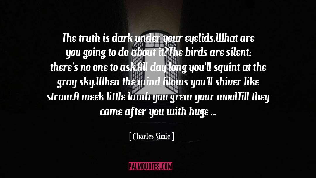 Under A Cloudless Sky quotes by Charles Simic