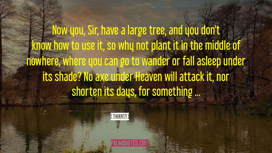 Under Heaven quotes by Zhuangzi