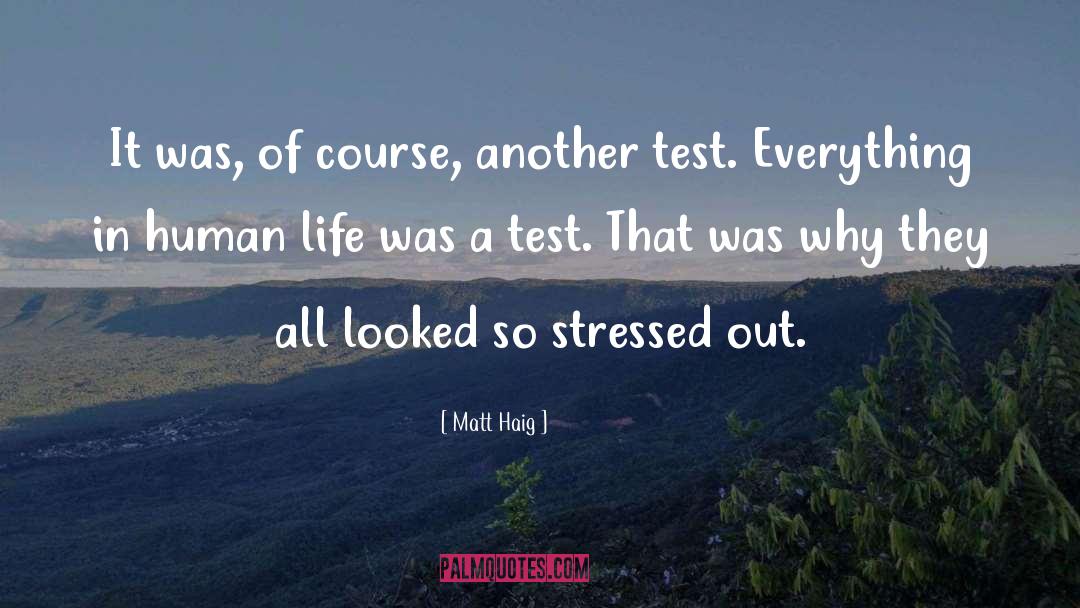 Under Stress quotes by Matt Haig