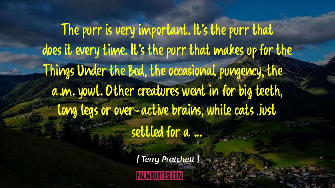 Under The Bed quotes by Terry Pratchett