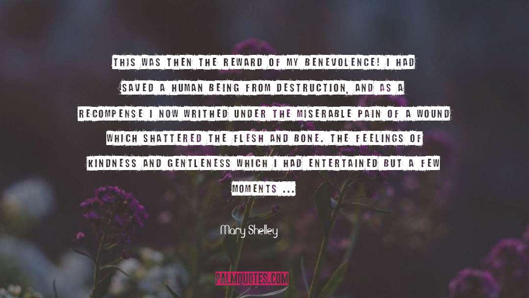 Under The Lilacs quotes by Mary Shelley