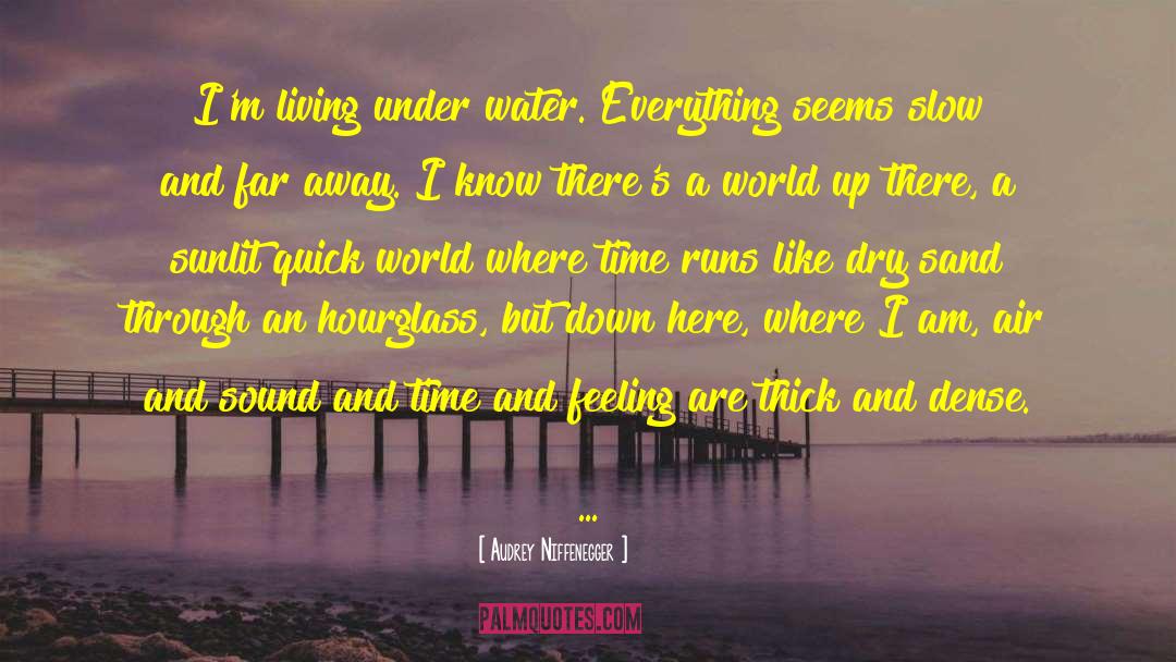 Under Water quotes by Audrey Niffenegger