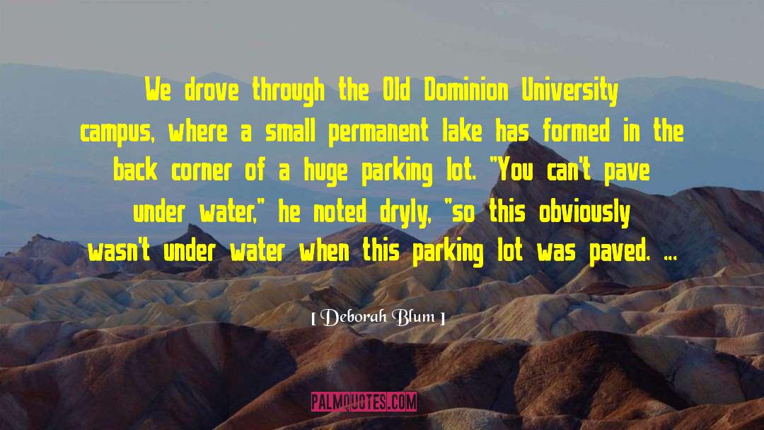 Under Water quotes by Deborah Blum