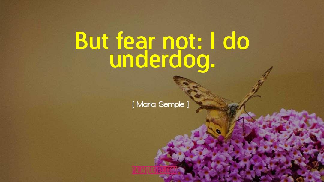 Underdog quotes by Maria Semple