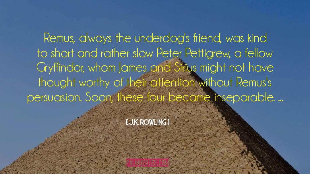 Underdogs quotes by J.K. Rowling