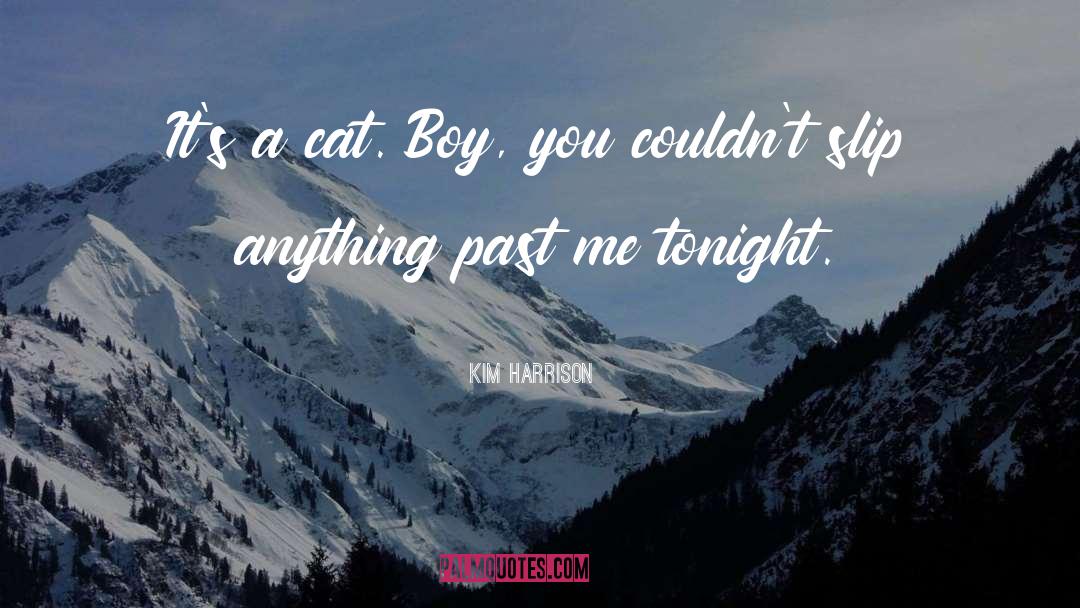 Underfeeding Cat quotes by Kim Harrison