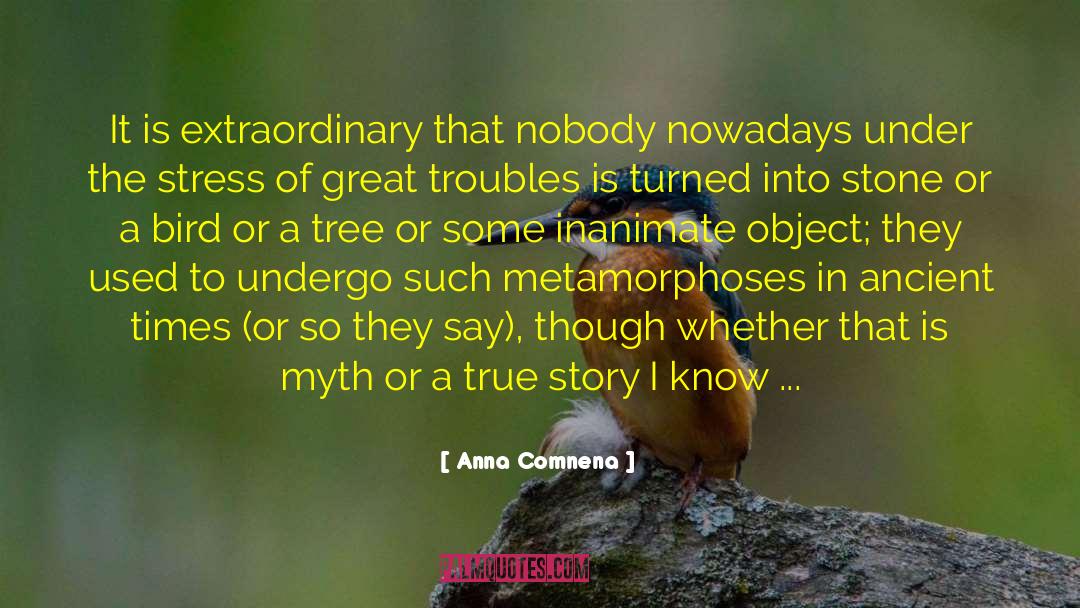 Undergoes A Metamorphosis quotes by Anna Comnena