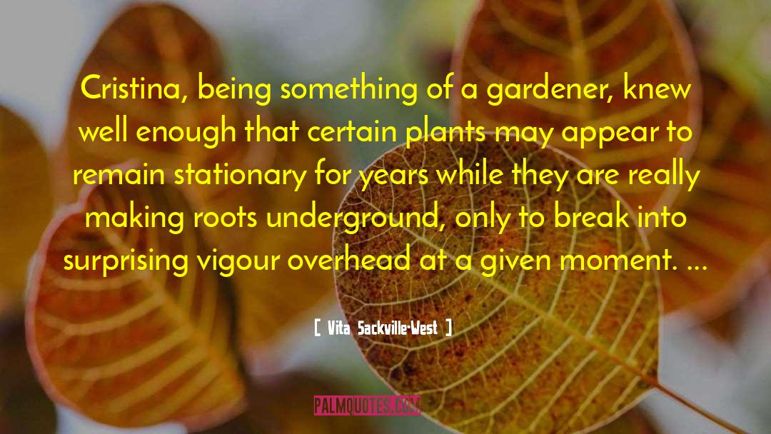 Underground Knowledge quotes by Vita Sackville-West