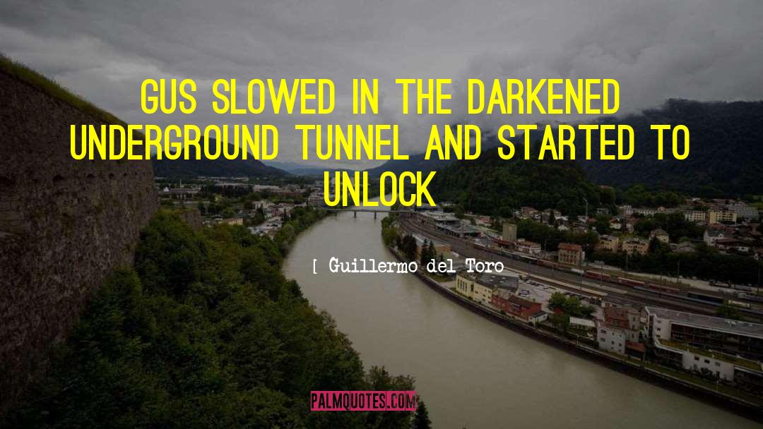 Underground Lake quotes by Guillermo Del Toro