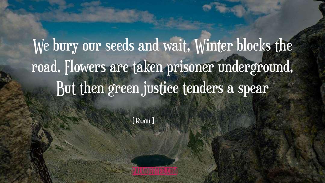 Underground quotes by Rumi