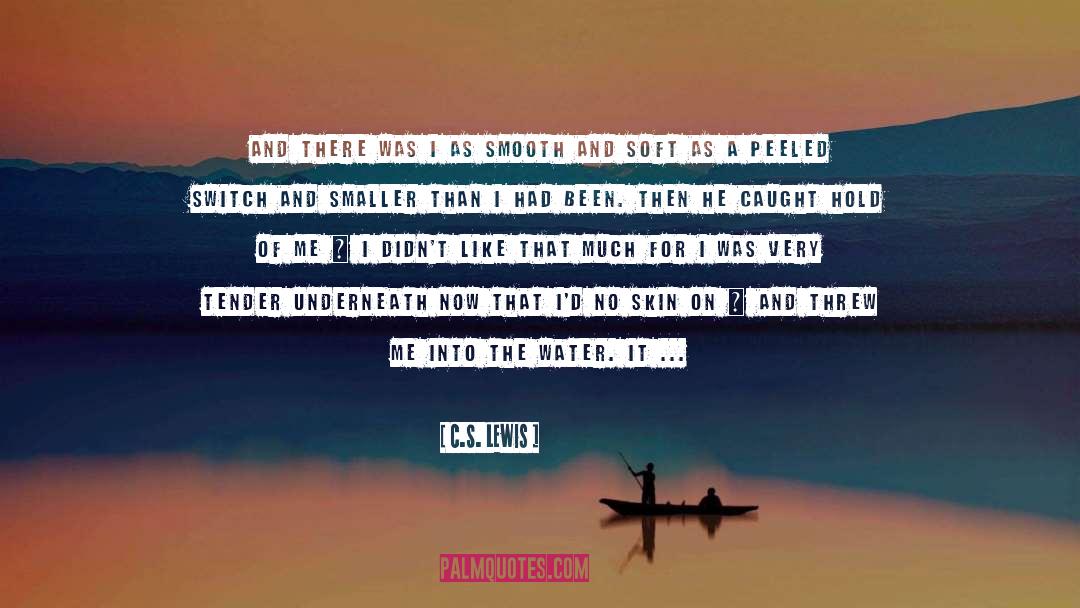 Underneath quotes by C.S. Lewis