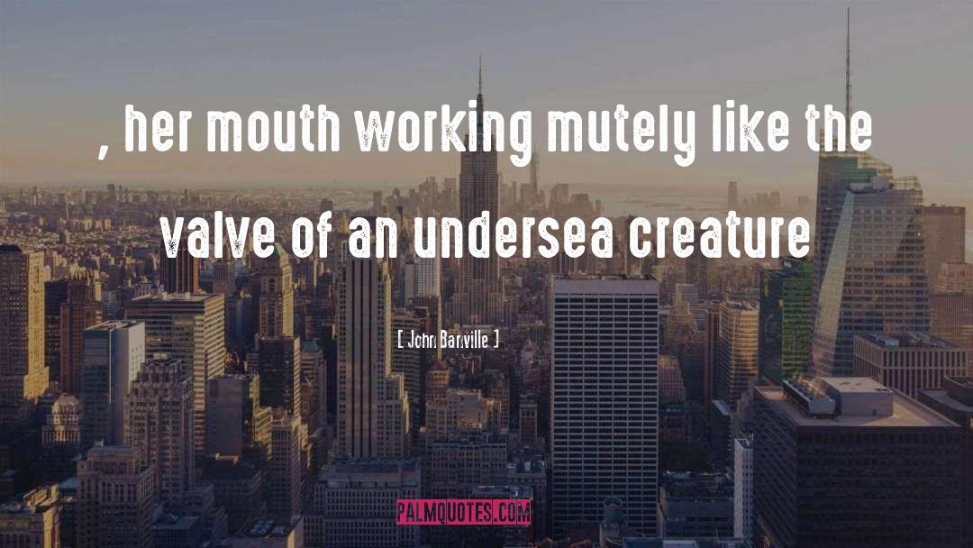 Undersea quotes by John Banville