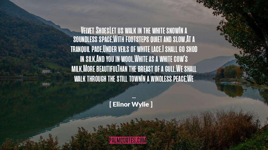Understand Silence quotes by Elinor Wylie