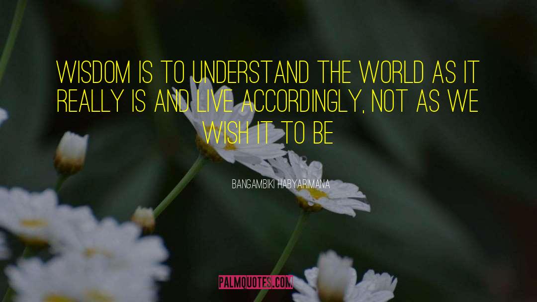 Understand The World quotes by Bangambiki Habyarimana