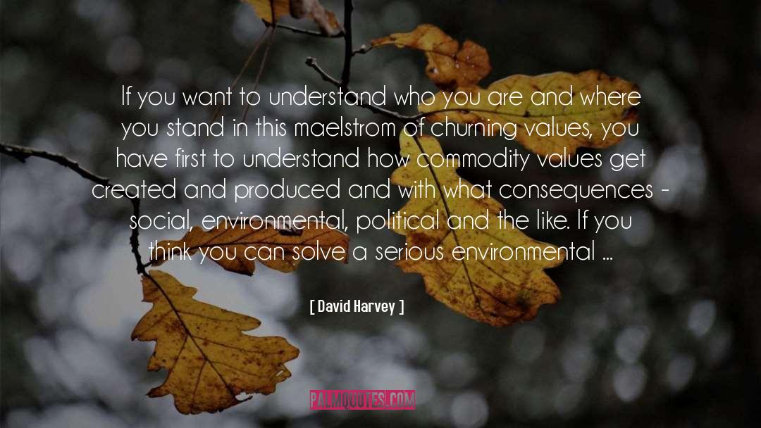 Understand Who You Are quotes by David Harvey