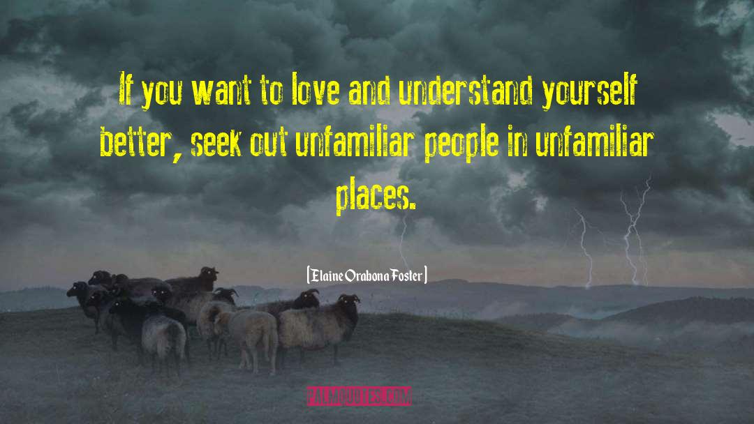 Understand Yourself quotes by Elaine Orabona Foster