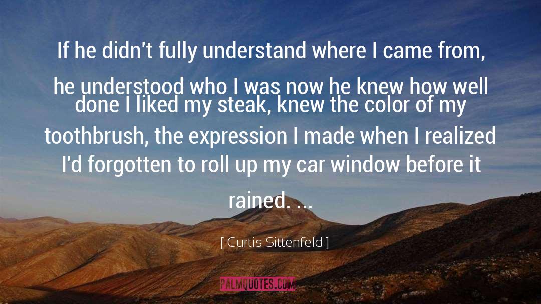 Understand Yourself quotes by Curtis Sittenfeld