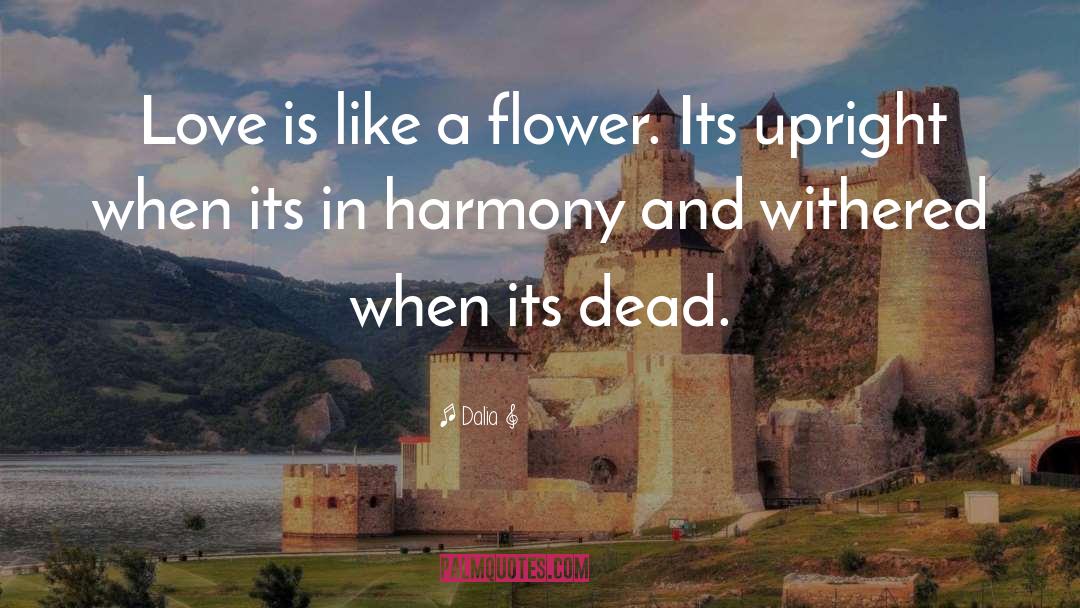 Understanding A Flower quotes by Dalia