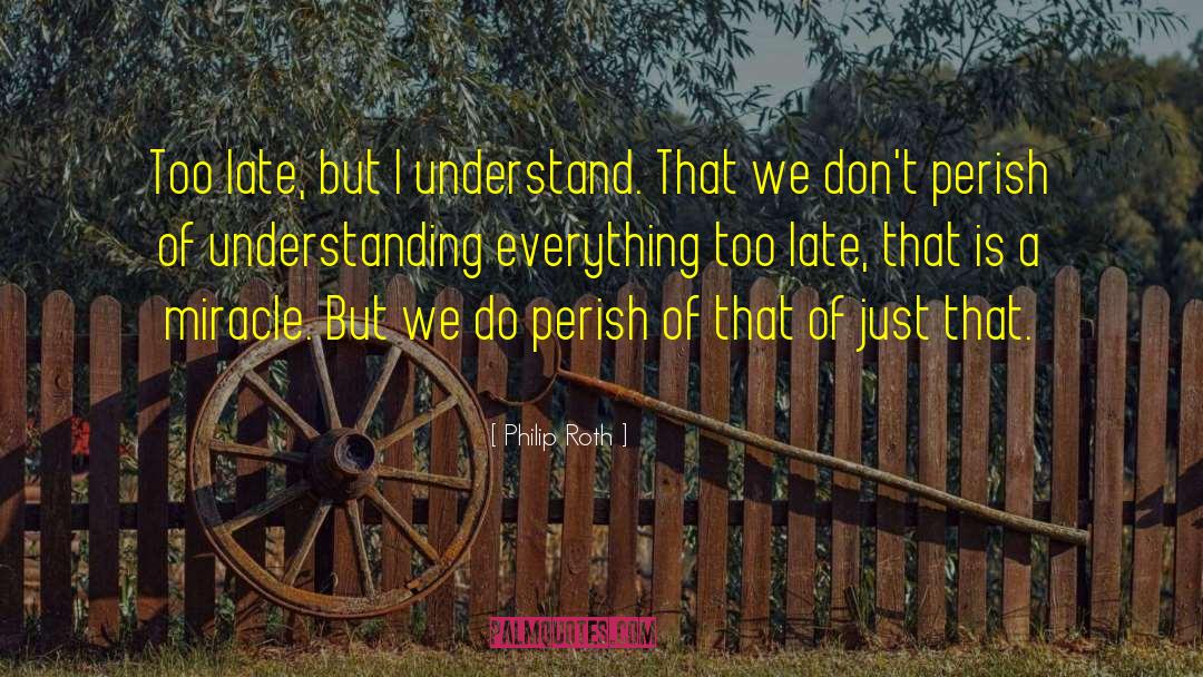 Understanding Everything quotes by Philip Roth