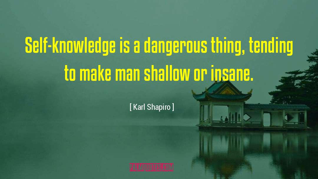 Understanding Knowledge quotes by Karl Shapiro