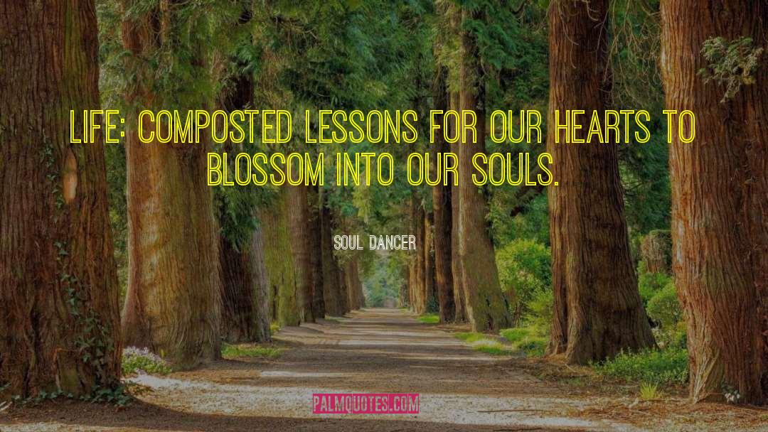 Understanding Life Life Lessons quotes by Soul Dancer