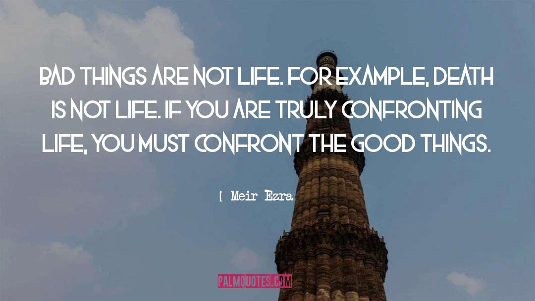 Understanding Life quotes by Meir Ezra