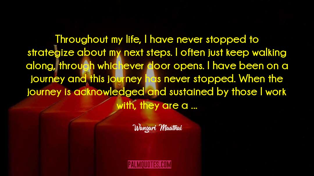 Understanding Life quotes by Wangari Maathai
