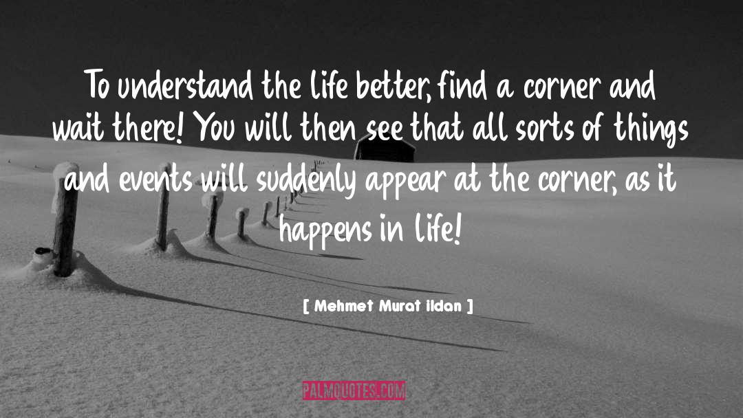 Understanding Life quotes by Mehmet Murat Ildan