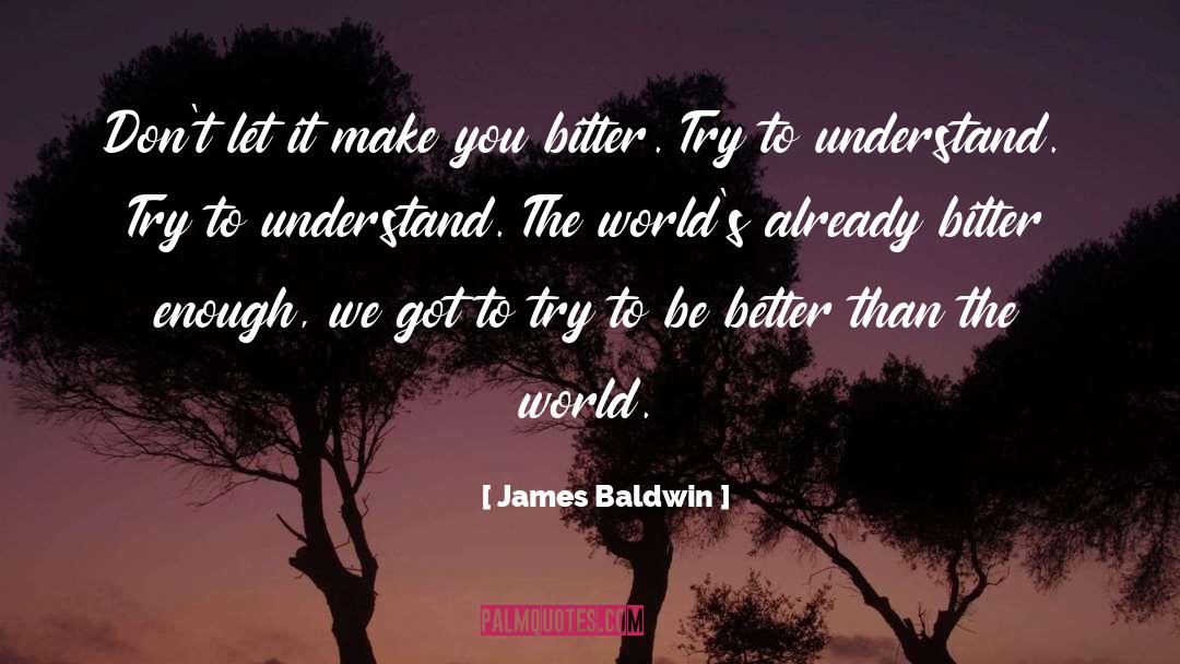 Understanding Nature quotes by James Baldwin