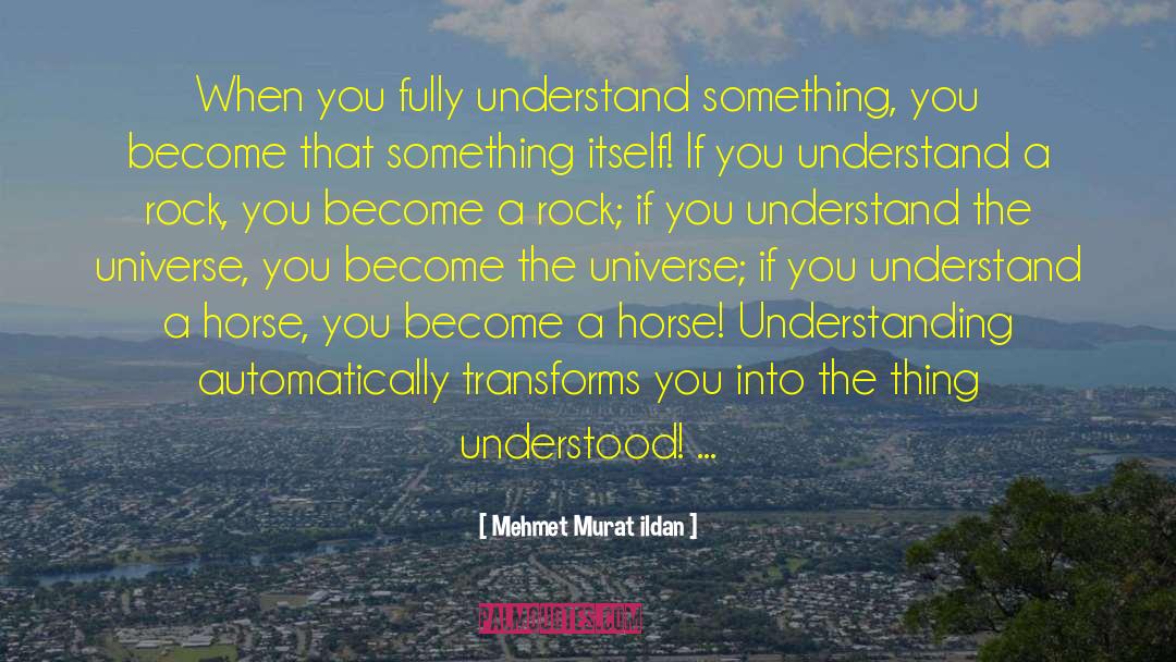 Understanding Ourselves quotes by Mehmet Murat Ildan