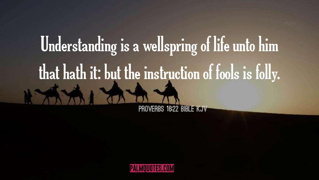 Understanding You quotes by Proverbs 16:22 Bible KJV