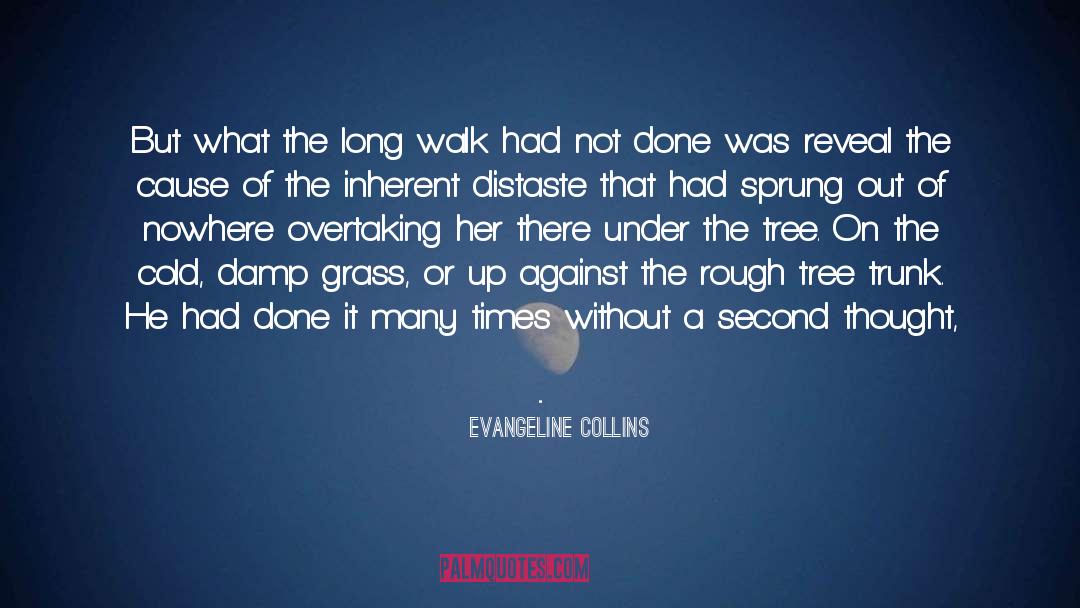 Understatement quotes by Evangeline Collins