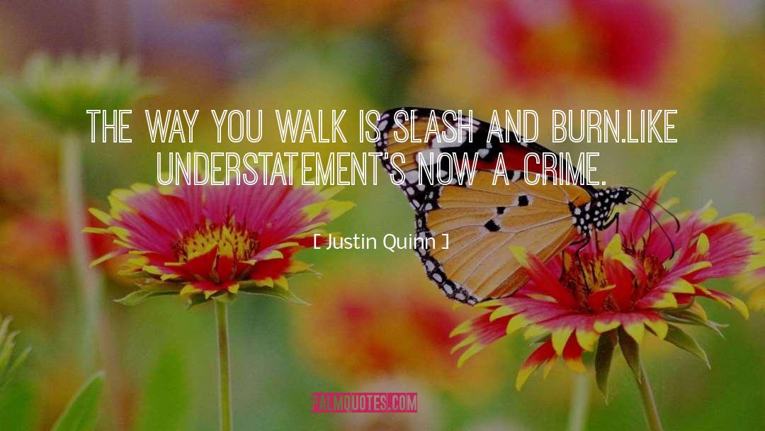 Understatement quotes by Justin Quinn