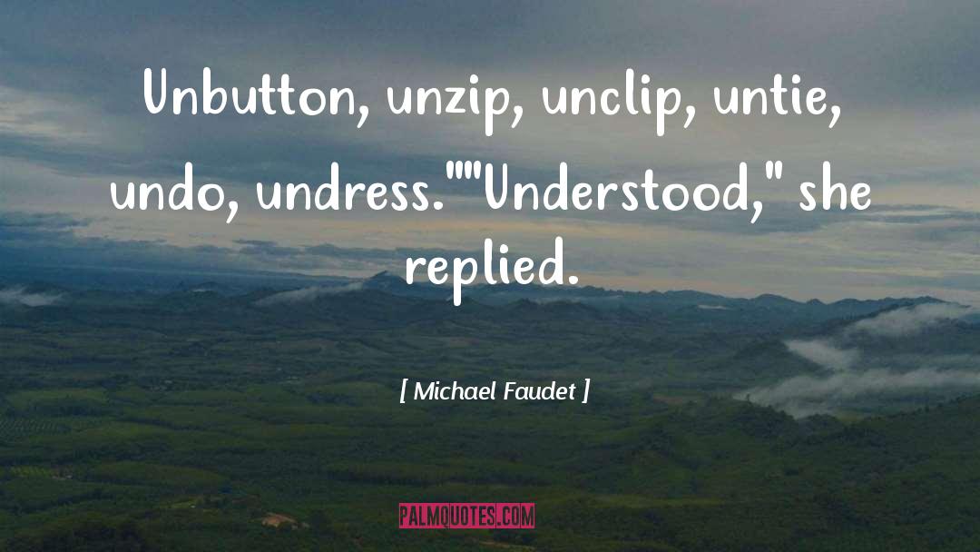 Understatement quotes by Michael Faudet