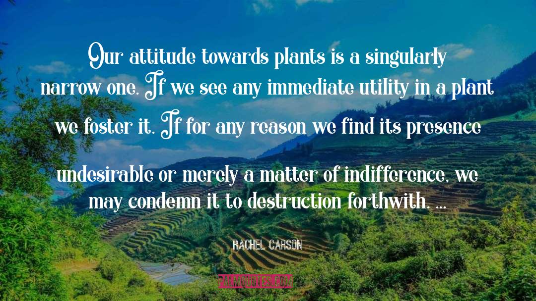 Undesirable quotes by Rachel Carson