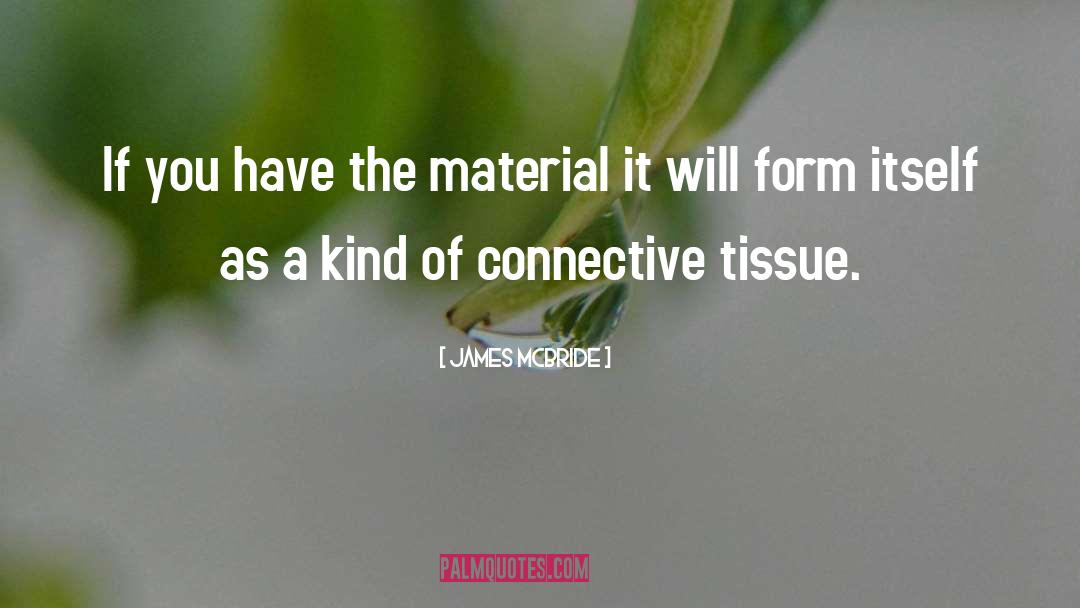 Undifferentiated Connective Tissue quotes by James McBride