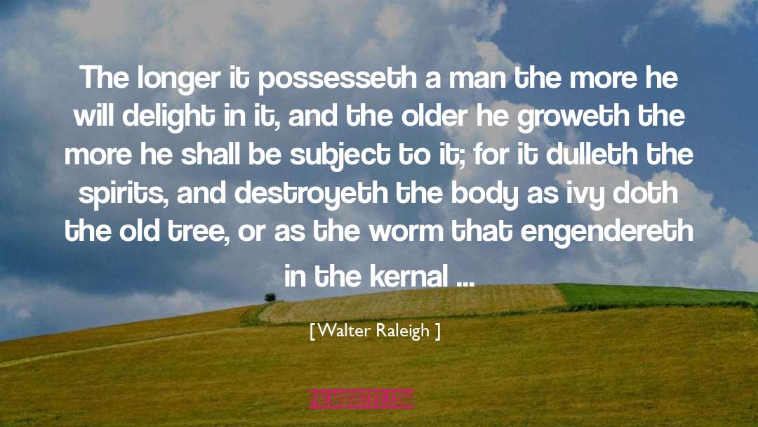 Undigested Nuts quotes by Walter Raleigh