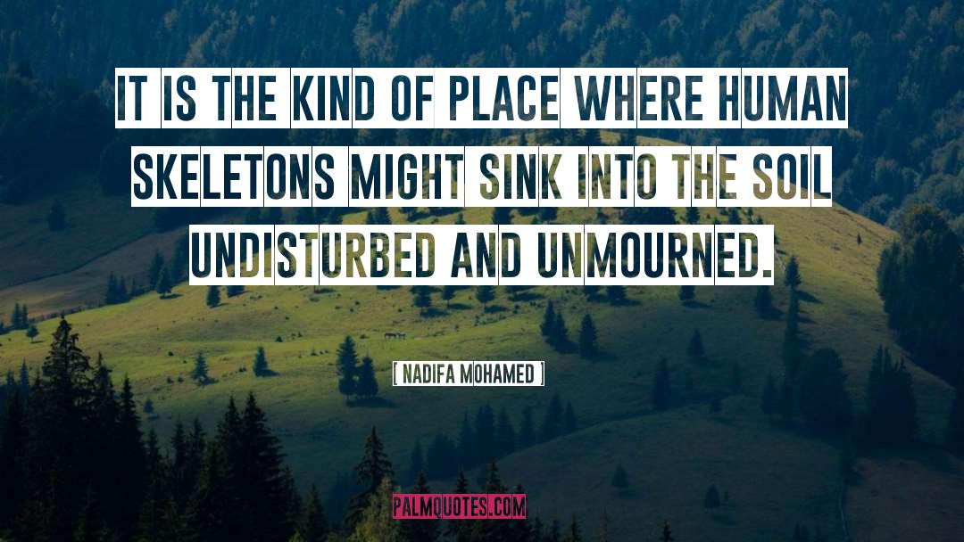 Undisturbed quotes by Nadifa Mohamed