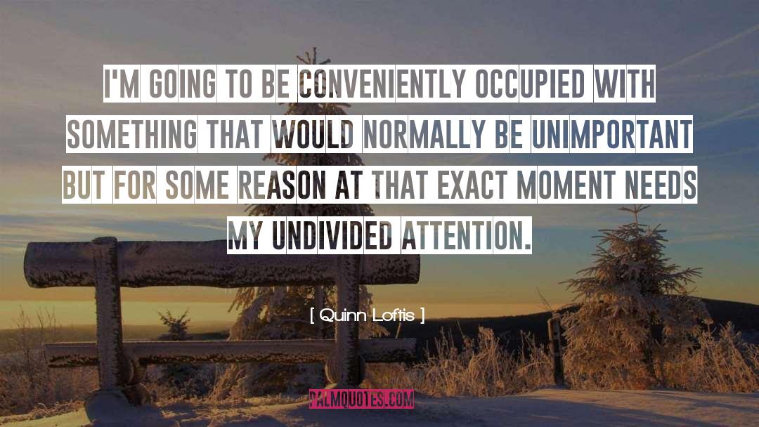 Undivided Attention quotes by Quinn Loftis