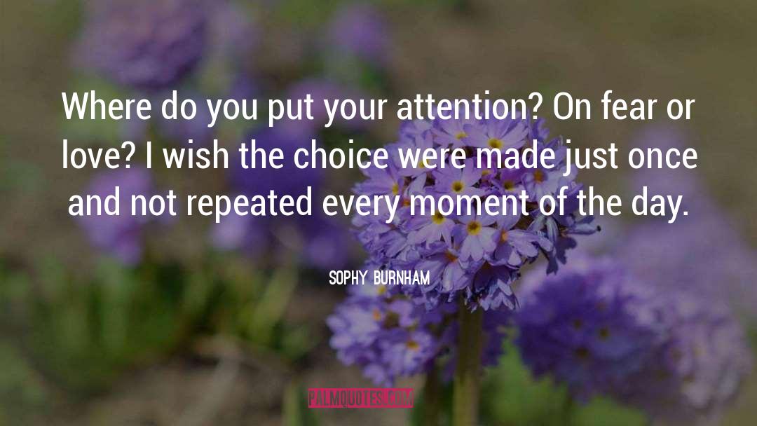 Undivided Attention quotes by Sophy Burnham