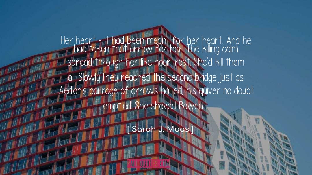 Undivided Heart quotes by Sarah J. Maas